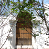 IMG_20210425_130603