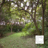 IMG_20210426_152457