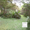 IMG_20210426_152621