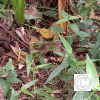 IMG_20210426_152732