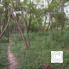 IMG_20210426_153052