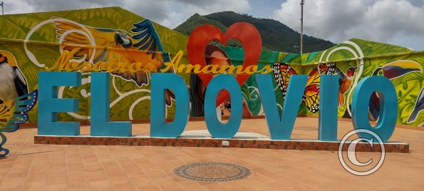 IMG_20231107_112001957_HDR