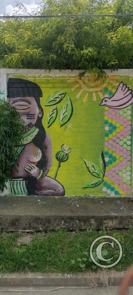 IMG_20231107_112252348_HDR