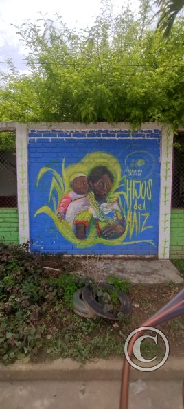 IMG_20231107_112442088_HDR