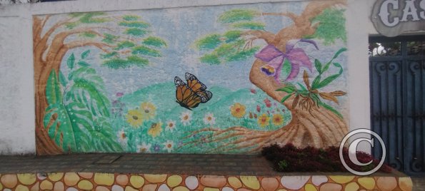 IMG_20231107_134223718