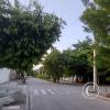 Calle 9 and Carrera 8a N