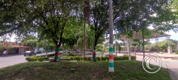 Parque El Libertador at Carrera 6 and Calle 20 (3)