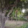 Parque Recreacional Betania Campestre at Diagonal 8a near Transversal 4a N