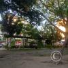 Parque Simon Bolivar at Carrera 6 and Calle 9