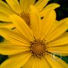 IMG_20211225_112002273