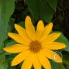 IMG_20211225_112024198