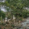 Creek Garzon from pedestrian bridge at Calle 9