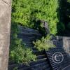 Stairs down and swallowed by the jungle