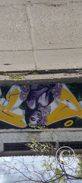 Mural on Calle 11 at San Luis-Guamo (7)