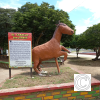 IMG_20210718_133002