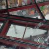IMG_20221109_153509999