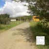 IMG_20211030_094847