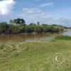 IMG-20220719-WA0011
