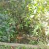 IMG-20220816-WA0000