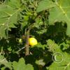 IMG-20220816-WA0004