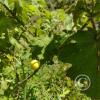 IMG-20220816-WA0005
