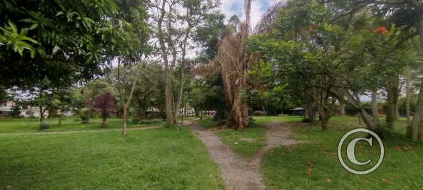 IMG_20231113_130948749_HDR