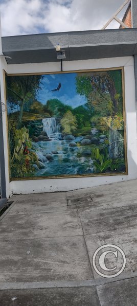 IMG_20231113_134100698_HDR