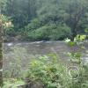 Sendero Ecologico alongside Rio La Hormiga (4)