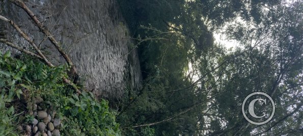 Sendero Ecologico alongside Rio La Hormiga (5)