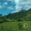 IMG_20221105_110606408