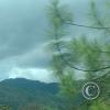 IMG_20221105_122056082