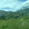 IMG_20221105_130837236