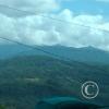 IMG_20221105_133111786