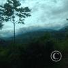 IMG_20221105_133729080