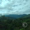 IMG_20221105_133743808