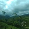 IMG_20221105_135321689