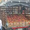 IMG_20221105_143017546_MP