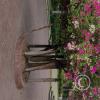 Parque Principal (2)