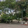 Parque Principal (6)