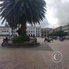 IMG_20221107_153452193