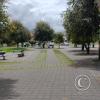 IMG_20221108_110449723