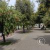IMG_20221108_110453985
