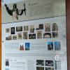 IMG_20221108_113549670