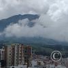 IMG_20221108_125521512