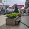 IMG_20221104_144028354_HDR