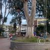 Parque Principal at Carrera 5 and Calle 6