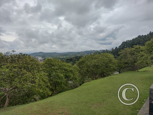 IMG_20221102_101112612_HDR