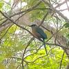 IMG_20221102_111013935