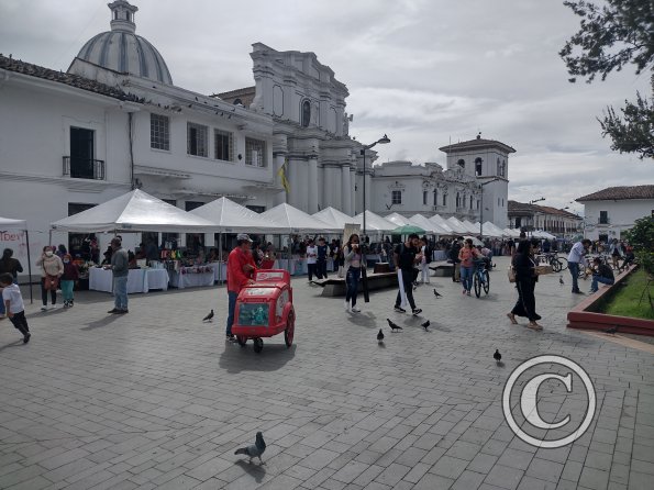 IMG_20221102_145101567_HDR