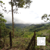 IMG_20211025_144005